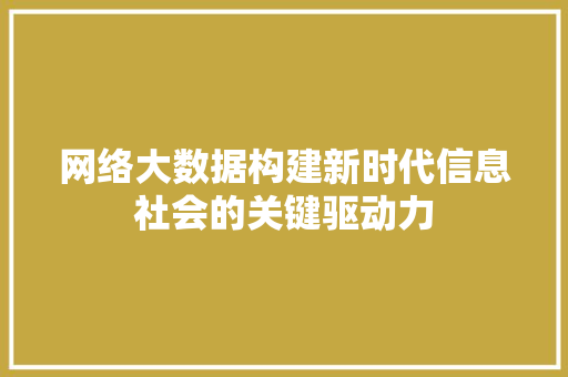 网络大数据构建新时代信息社会的关键驱动力