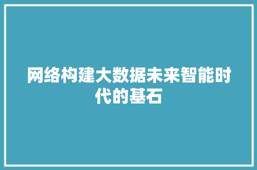 网络构建大数据未来智能时代的基石