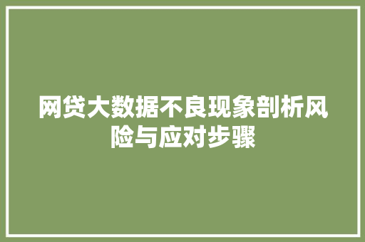 网贷大数据不良现象剖析风险与应对步骤