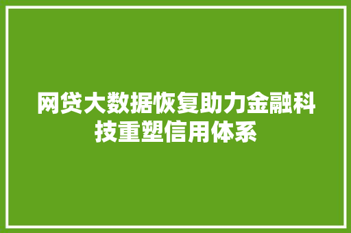 网贷大数据恢复助力金融科技重塑信用体系
