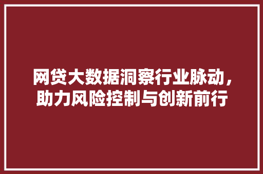 网贷大数据洞察行业脉动，助力风险控制与创新前行