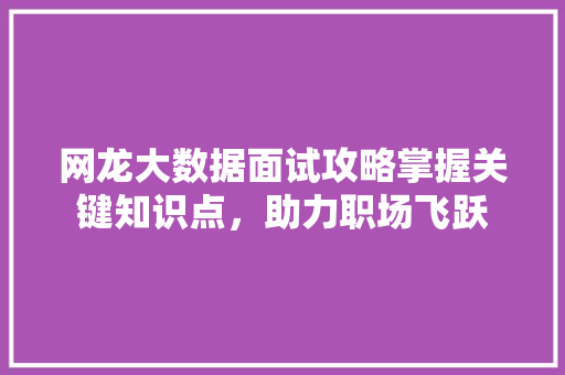 网龙大数据面试攻略掌握关键知识点，助力职场飞跃