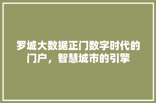 罗城大数据正门数字时代的门户，智慧城市的引擎
