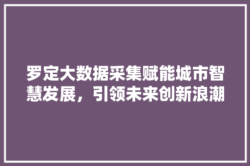 罗定大数据采集赋能城市智慧发展，引领未来创新浪潮