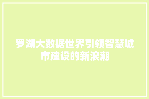 罗湖大数据世界引领智慧城市建设的新浪潮