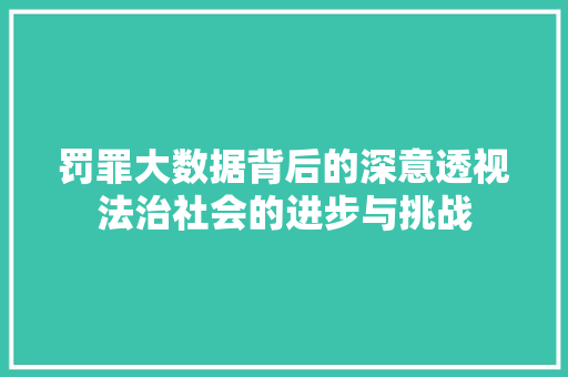 罚罪大数据背后的深意透视法治社会的进步与挑战