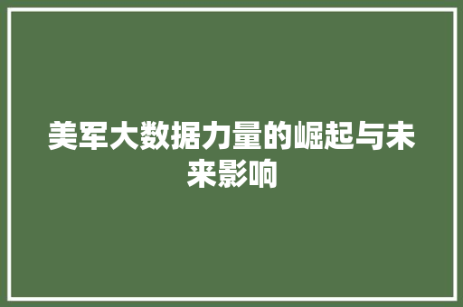美军大数据力量的崛起与未来影响