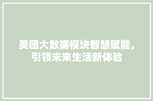 美团大数据模块智慧赋能，引领未来生活新体验
