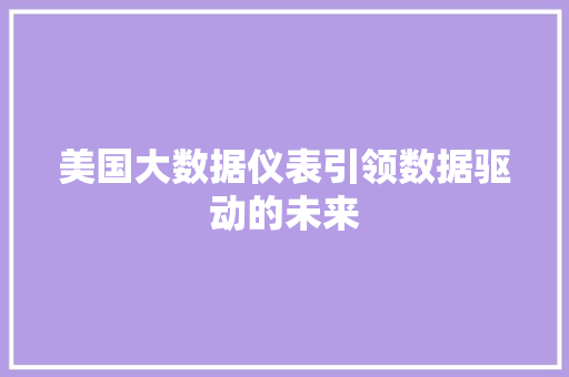 美国大数据仪表引领数据驱动的未来