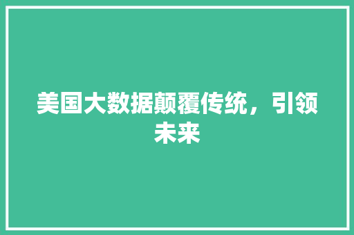 美国大数据颠覆传统，引领未来