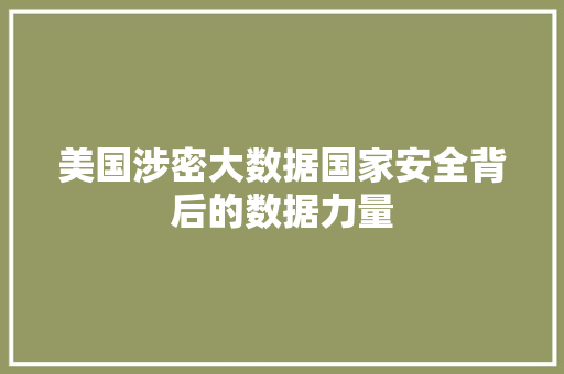 美国涉密大数据国家安全背后的数据力量
