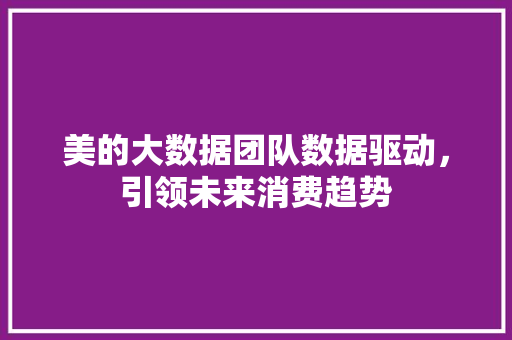 美的大数据团队数据驱动,引领未来消费趋势 美的大数据团队数据驱动,引领未来消费趋势