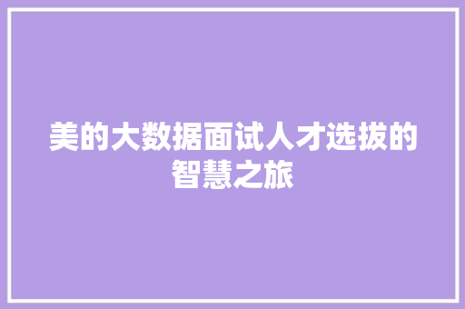 美的大数据面试人才选拔的智慧之旅