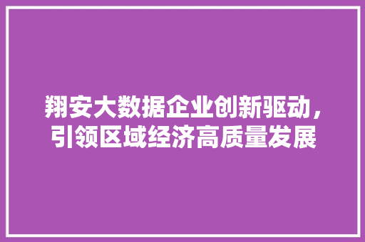 翔安大数据企业创新驱动，引领区域经济高质量发展