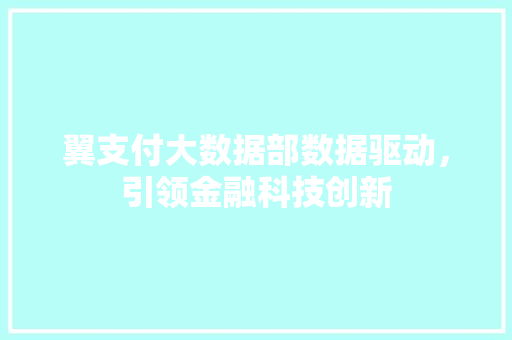 翼支付大数据部数据驱动，引领金融科技创新