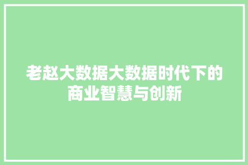 老赵大数据大数据时代下的商业智慧与创新