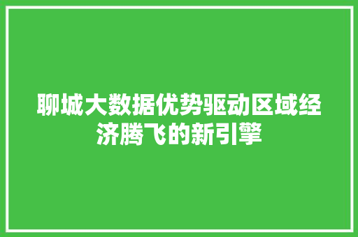聊城大数据优势驱动区域经济腾飞的新引擎