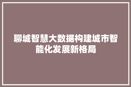 聊城智慧大数据构建城市智能化发展新格局