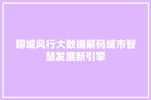 聊城风行大数据解码城市智慧发展新引擎