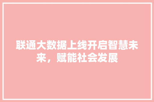 联通大数据上线开启智慧未来，赋能社会发展
