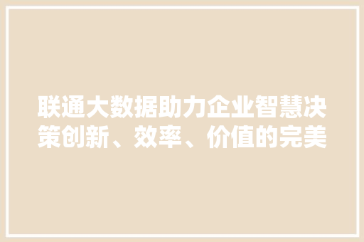 联通大数据助力企业智慧决策创新、效率、价值的完美融合