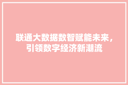 联通大数据数智赋能未来，引领数字经济新潮流