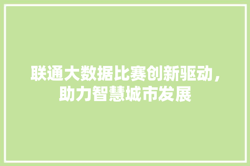 联通大数据比赛创新驱动，助力智慧城市发展