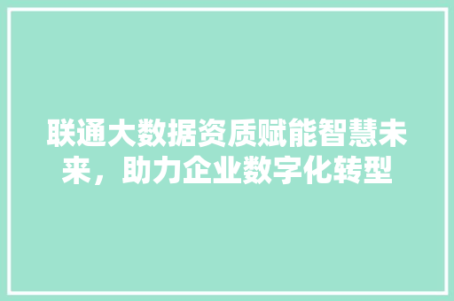 联通大数据资质赋能智慧未来，助力企业数字化转型