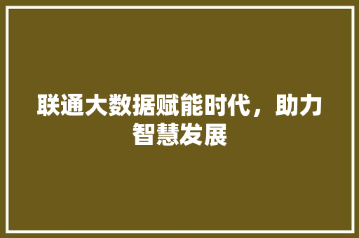 联通大数据赋能时代，助力智慧发展