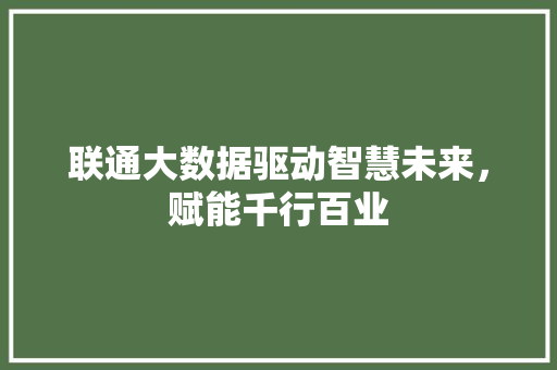 联通大数据驱动智慧未来，赋能千行百业