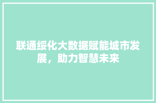联通绥化大数据赋能城市发展，助力智慧未来
