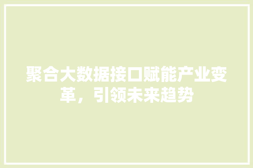 聚合大数据接口赋能产业变革，引领未来趋势