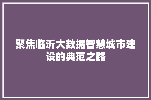 聚焦临沂大数据智慧城市建设的典范之路 操作系统 聚焦临沂大数据智慧城市建设的典范之路 操作系统