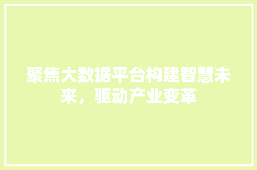 聚焦大数据平台构建智慧未来,驱动产业变革 聚焦大数据平台构建智慧未来,驱动产业变革