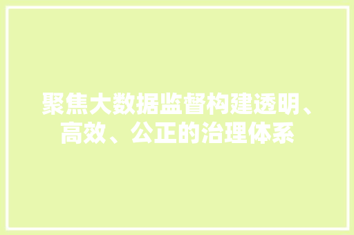 聚焦大数据监督构建透明、高效、公正的治理体系 聚焦大数据监督构建透明、高效、公正的治理体系