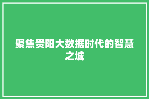 聚焦贵阳大数据时代的智慧之城 聚焦贵阳大数据时代的智慧之城