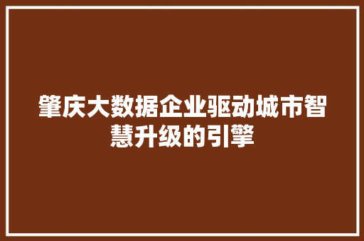 肇庆大数据企业驱动城市智慧升级的引擎