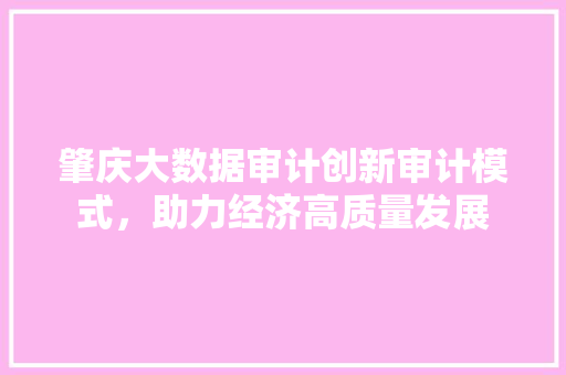 肇庆大数据审计创新审计模式,助力经济高质量发展 肇庆大数据审计创新审计模式,助力经济高质量发展