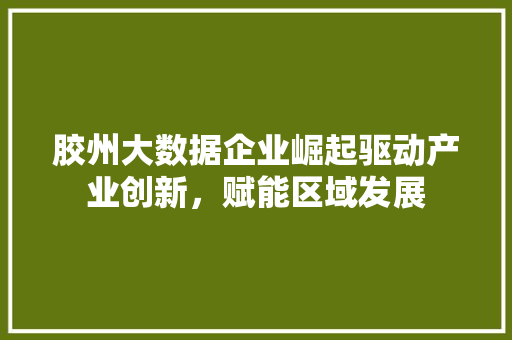 胶州大数据企业崛起驱动产业创新，赋能区域发展