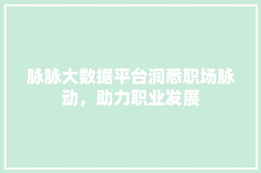 脉脉大数据平台洞悉职场脉动，助力职业发展