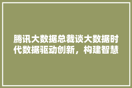 腾讯大数据总裁谈大数据时代数据驱动创新，构建智慧未来