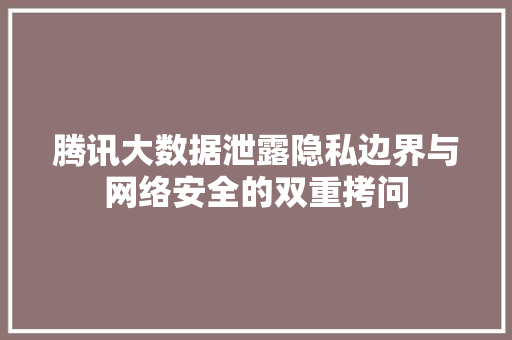 腾讯大数据泄露隐私边界与网络安全的双重拷问