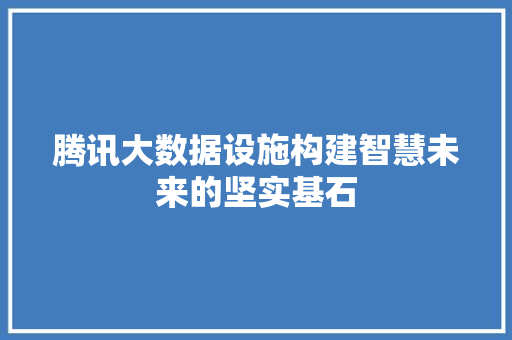 腾讯大数据设施构建智慧未来的坚实基石 腾讯大数据设施构建智慧未来的坚实基石