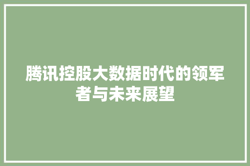 腾讯控股大数据时代的领军者与未来展望 电脑配置