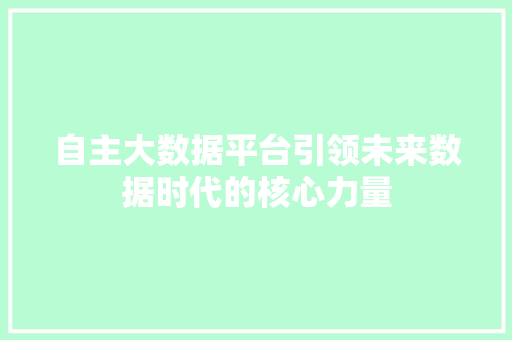 自主大数据平台引领未来数据时代的核心力量