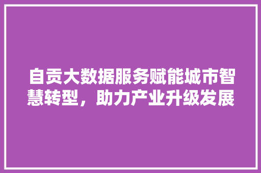 自贡大数据服务赋能城市智慧转型,助力产业升级发展 自贡大数据服务赋能城市智慧转型,助力产业升级发展