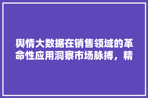 舆情大数据在销售领域的革命性应用洞察市场脉搏，精准营销新纪元