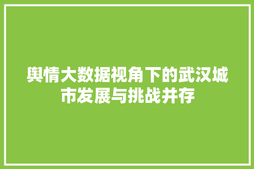 舆情大数据视角下的武汉城市发展与挑战并存 舆情大数据视角下的武汉城市发展与挑战并存