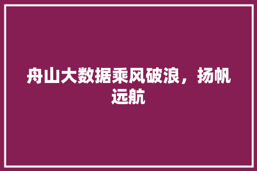 舟山大数据乘风破浪,扬帆远航 舟山大数据乘风破浪,扬帆远航