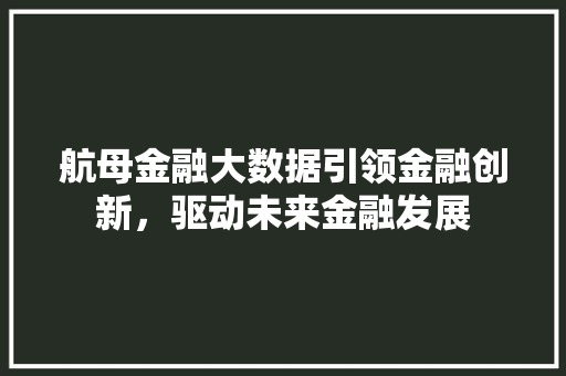 航母金融大数据引领金融创新，驱动未来金融发展
